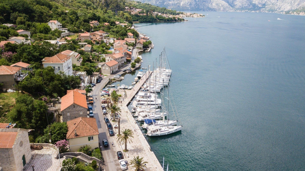 newest-news-post-image